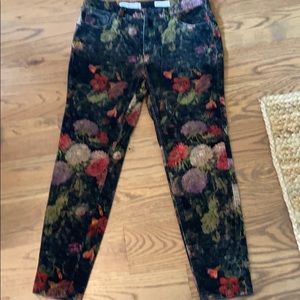 Anthropologie 5 pocket velvet jeans. Size 30